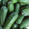 Pepino- Cucumber