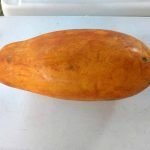 Papaya